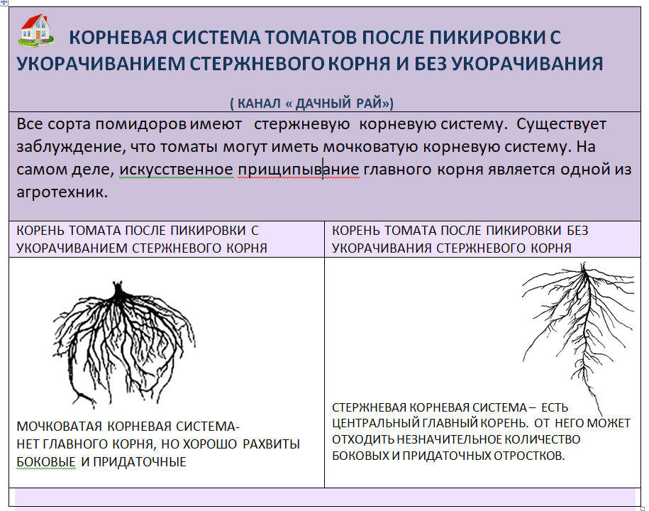 Диаметр корень