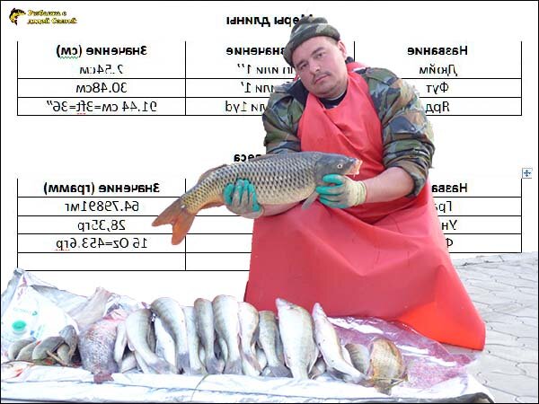 «Сколько вешать в граммах..»