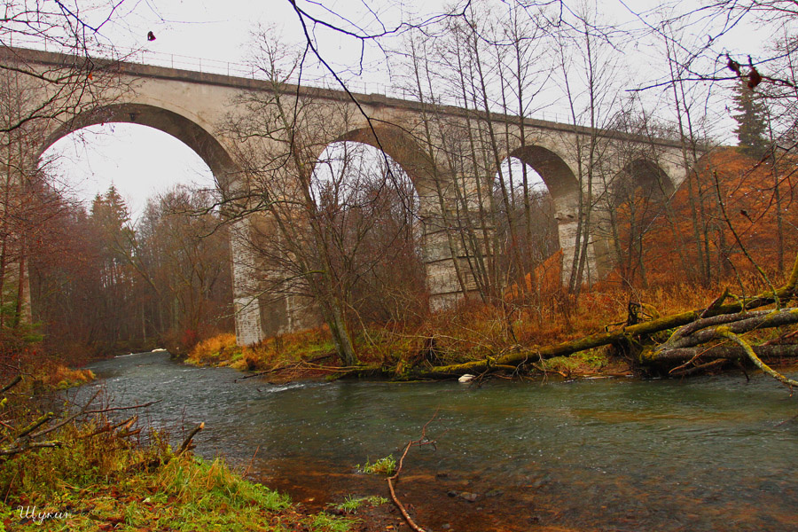 Мост в п. Токаревка