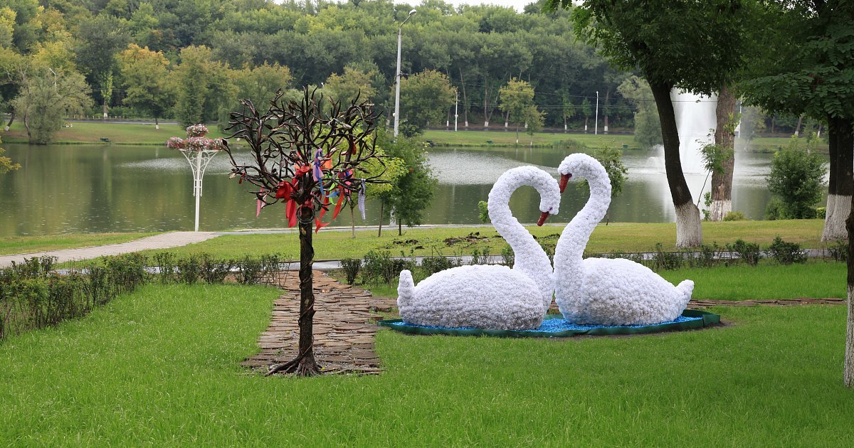 Парки в губкине