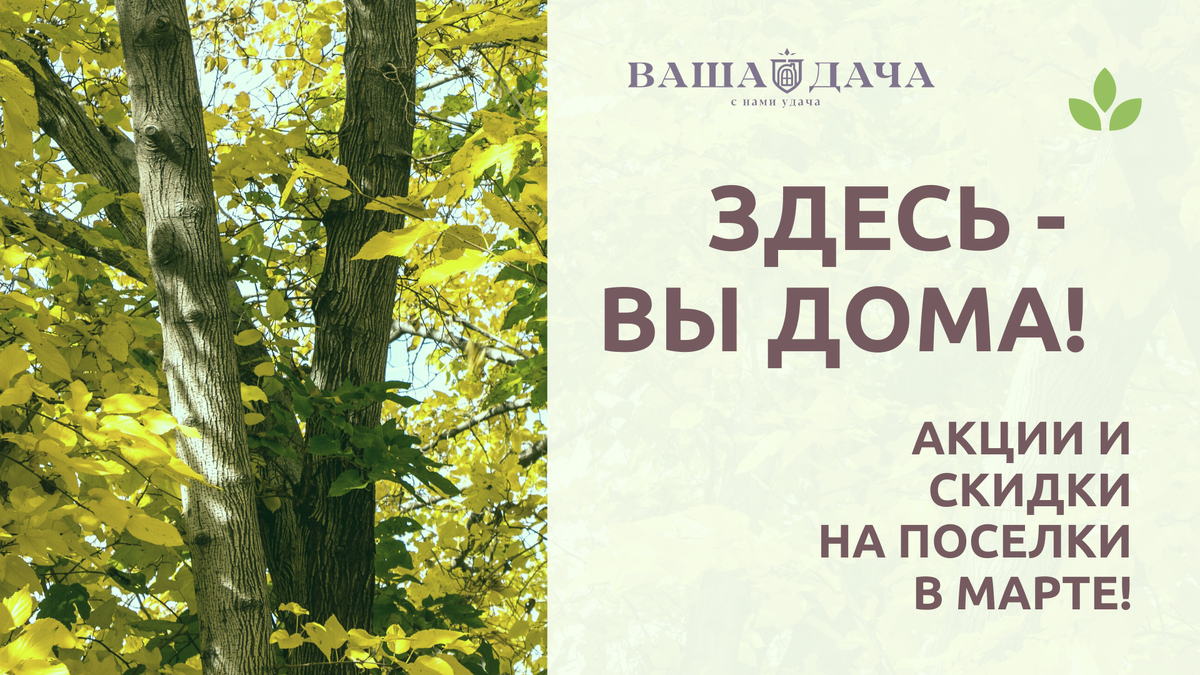 Акции! Скидки! Распродажа!