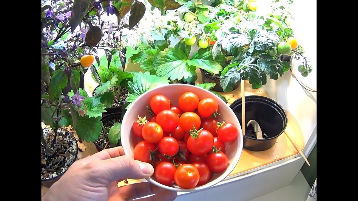 Источник: Яндекс.Картинки 