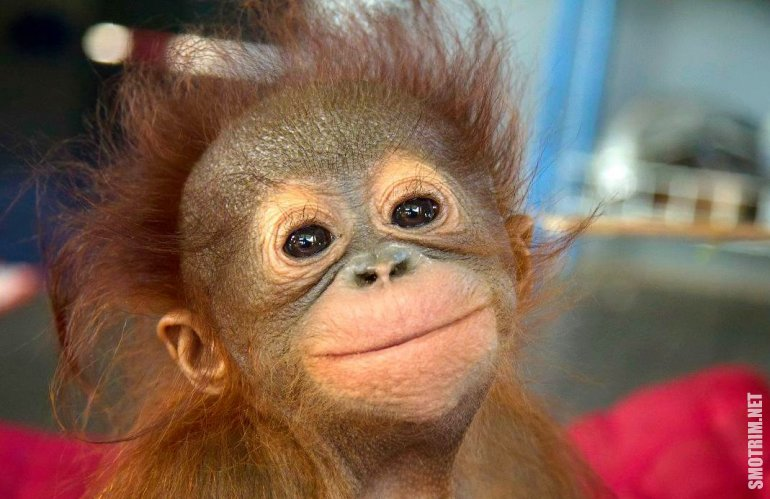 фото взято из открытых источников