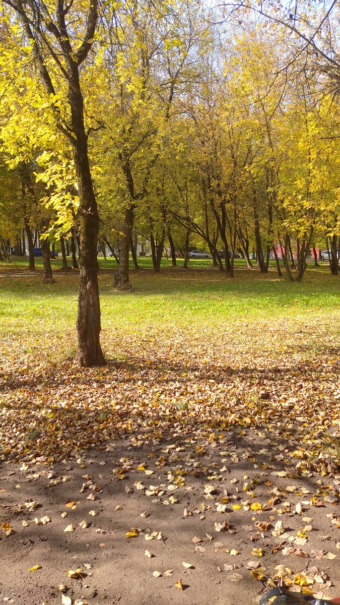 Личное фото. 