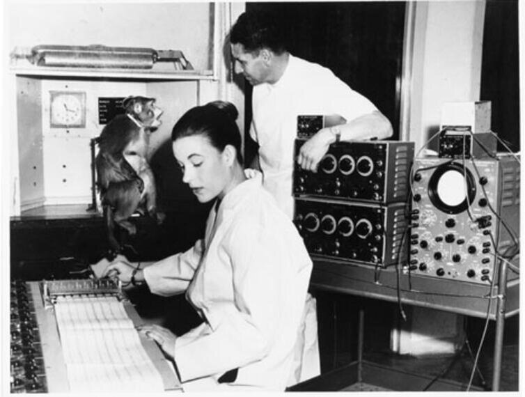 Каролина Дельгадо с мужем Хосе Дельгадо в лаборатории