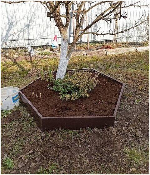 Добавьте описание