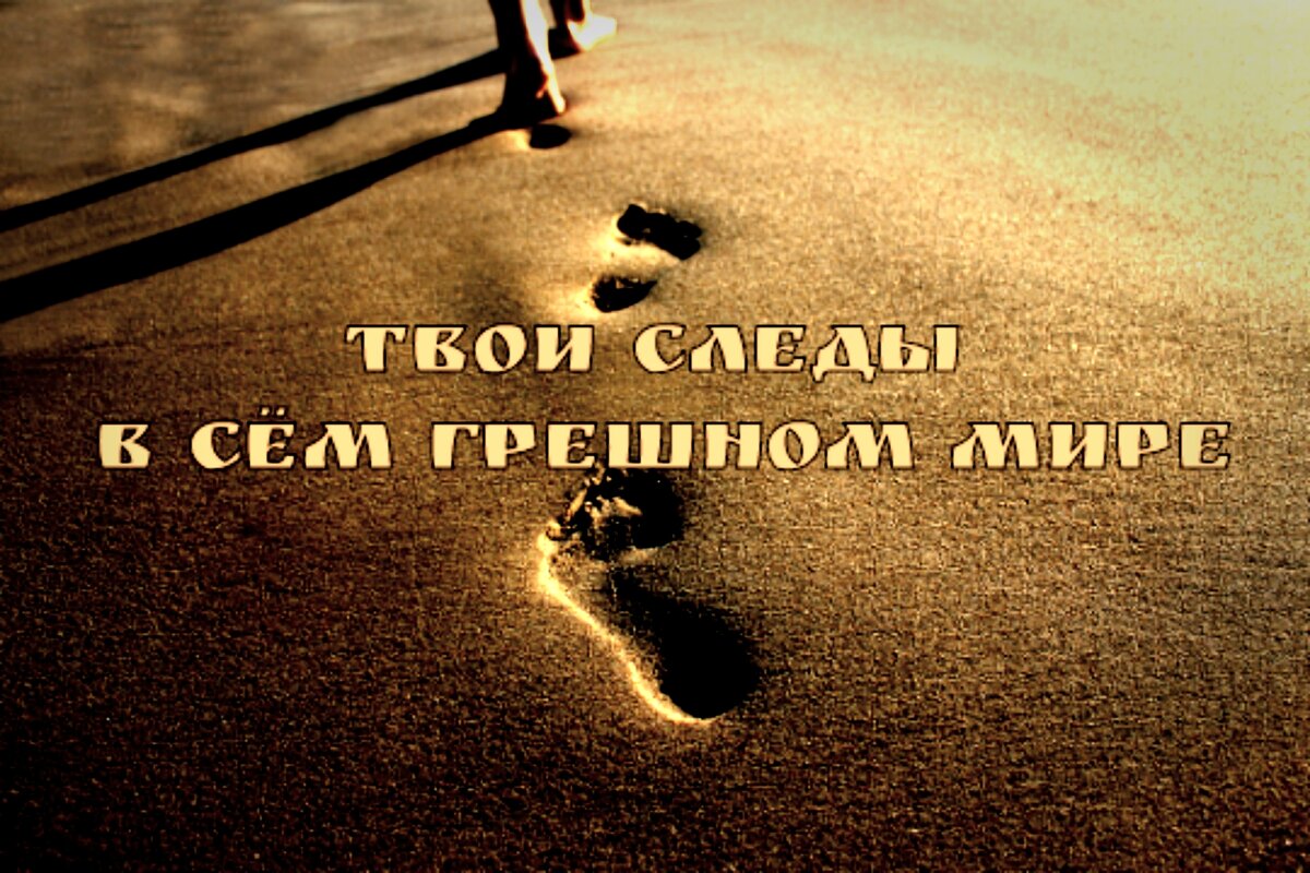     На закате жизни, многие пожилые люди часто вспоминают известный афоризм: "Годы пролетели словно птицы". Только вот, птицы, в отличие от людей, могут совершать промежуточные остановки, а затем: набравшись сил - продолжают свой путь. Человеку же, Творец не дал такой возможности: мы начинаем свой "полёт" с первой секунды появления на свет, и не делаем никаких остановок до самого конца. И уж если сравнивать нашу жизнь с полётом птицы, то только от нас зависит, насколько запоминающимся будет сей "полёт", сколько людей, и как долго, будут помнить о нём.                                      А.Г.Максименко (Финский)                                                                                                                                        