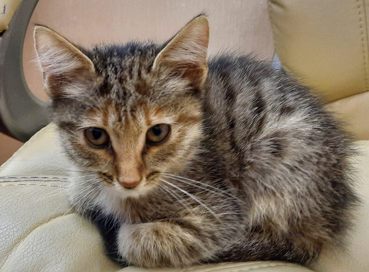 Фото из архивов автора