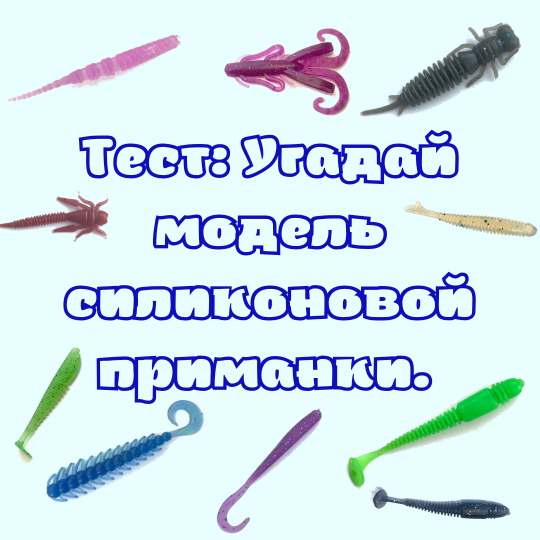 Тест: Угадай модель силиконовой приманки. | RealFish - Рыбалка и приманки |  Дзен