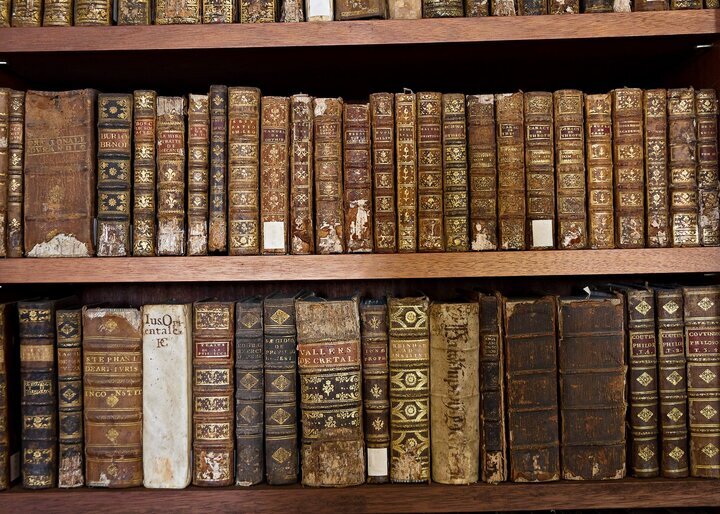 Изображение взято с открытых источников