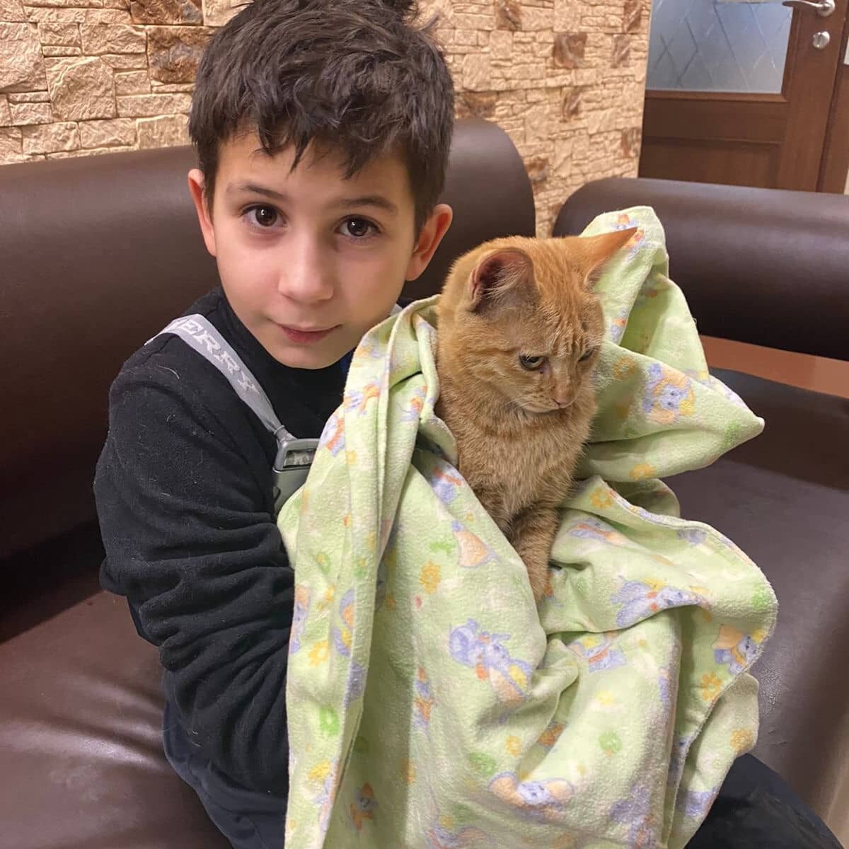 Boy on the train working on laptop. маленький рассказ про кота. мальчик потратил. кот тильки. мальчик потратил.