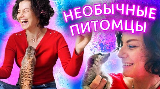 Дамы в необычных местах показывают свои голые щели | порно фото бесплатно на helper163.ru