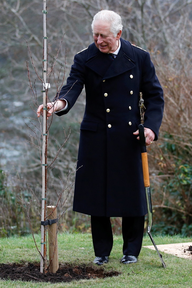 ФОТОGETTY IMAGES