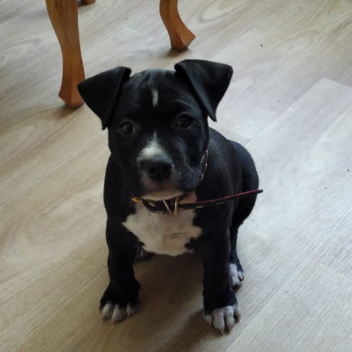 Наша Золушка. Ещё мелкая)))