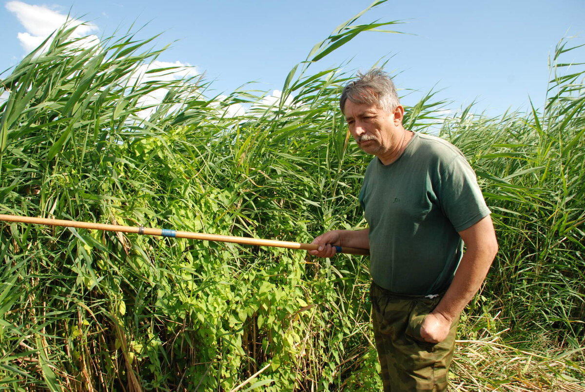 Казачий писарь и поэт Юрий Борисович Жуков 5 08 2014 г.