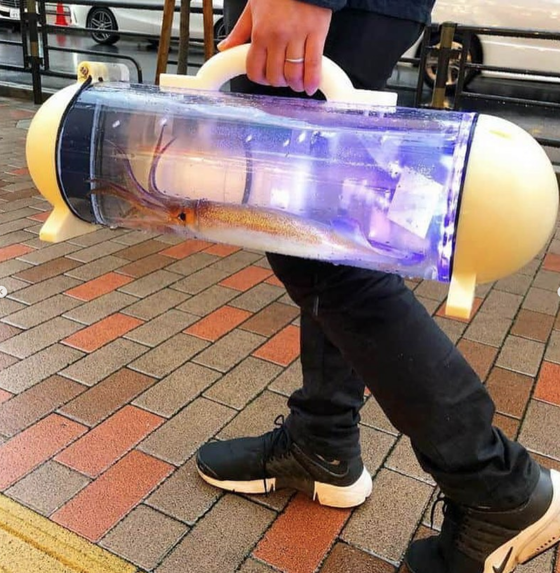 Сумка-переноска для рыб. Сумка Кацуге