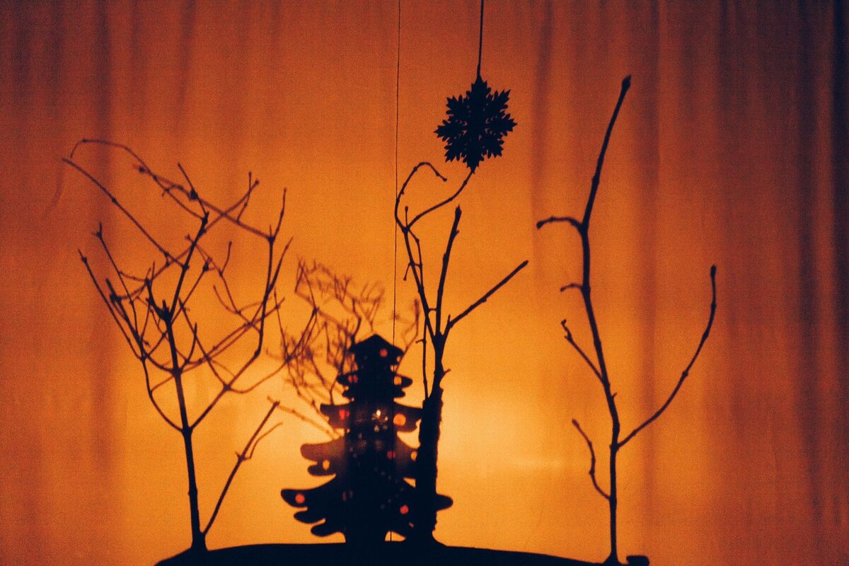 фото со спектакля «История Ёлочки»