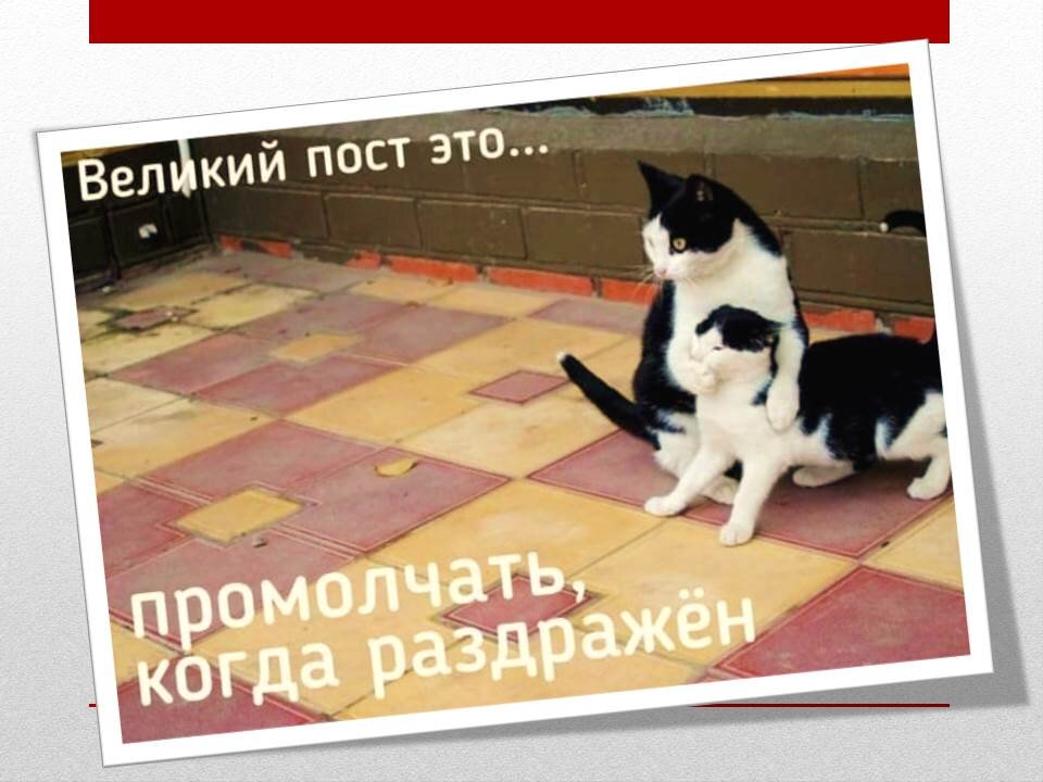 молчание, мур, золото, сами понимаете, где фото - со свободных источников