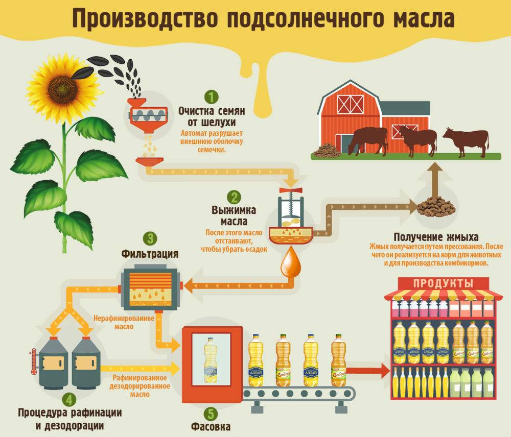Масло процесс. Технологический процесс производства подсолнечного масла. Технологическая схема производства подсолнечного масла. Схема производства растительного масла. Схема происхождения подсолнечного масла.