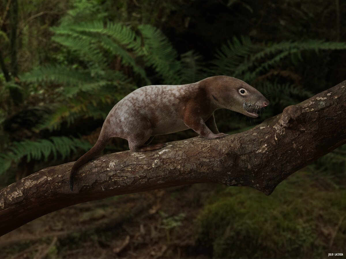 Морганукодон - "почти" млекопитающее