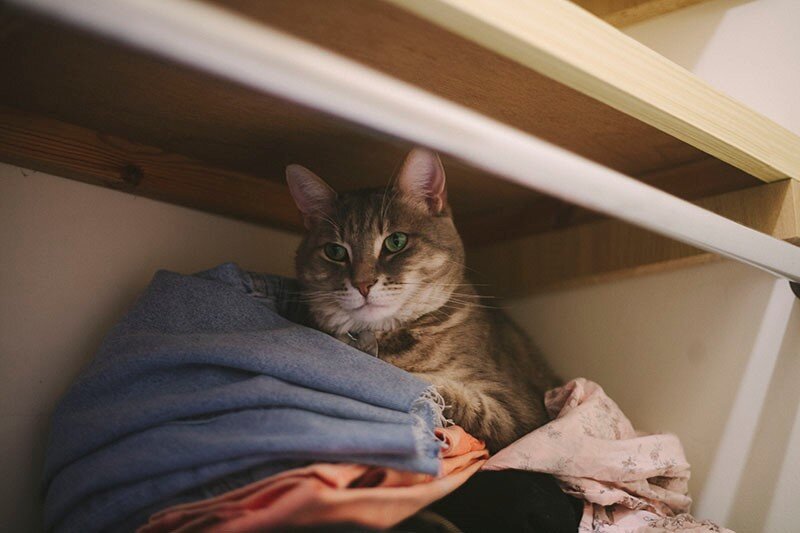 Фото из Интернета.