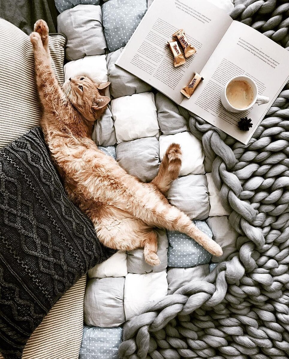 Прекрасное фото из интернета . Это я отдыхаю 