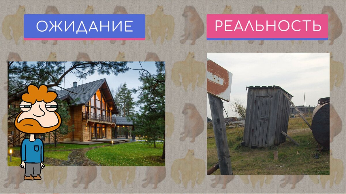 Дача ожидание и реальность смешные картинки