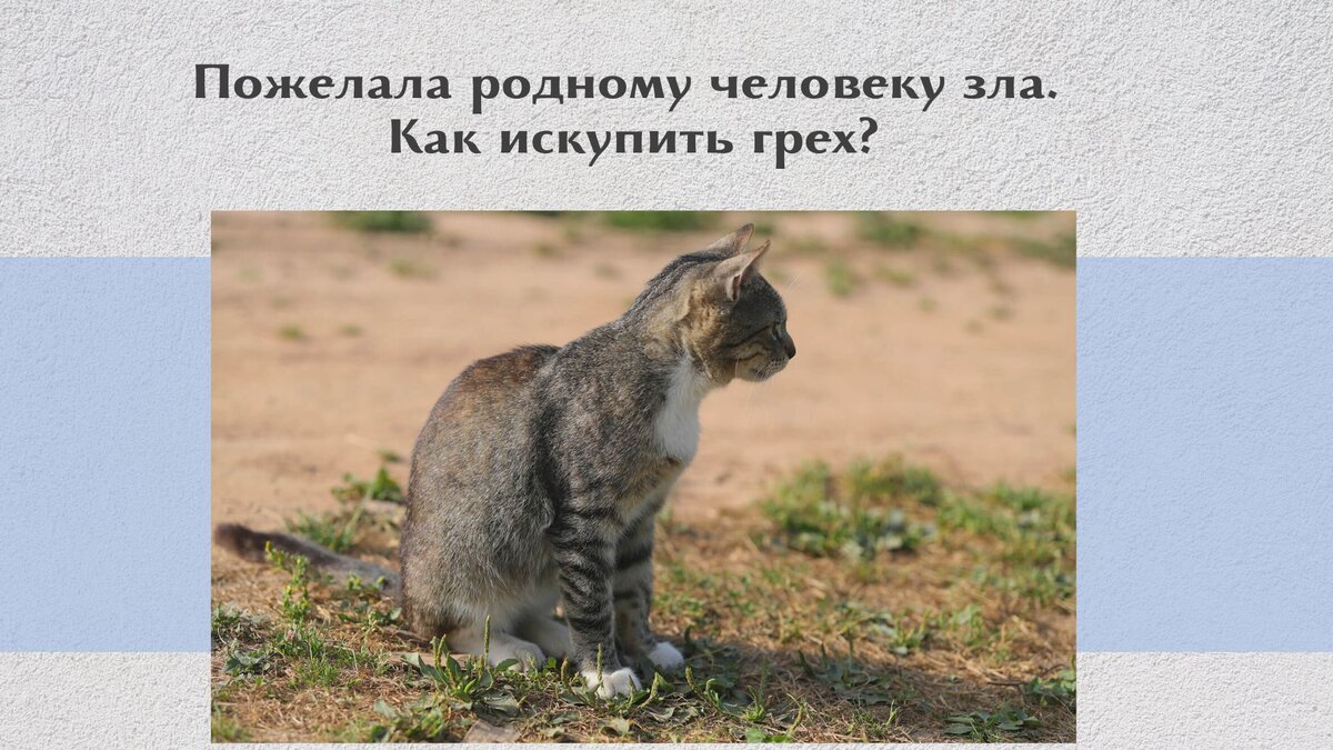 Как искупить грех. Как искупить грех