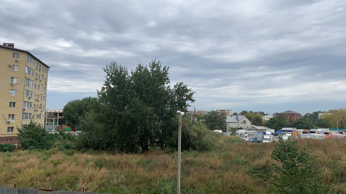 Сегодня было тепло, хоть и пасмурно. Фото автора