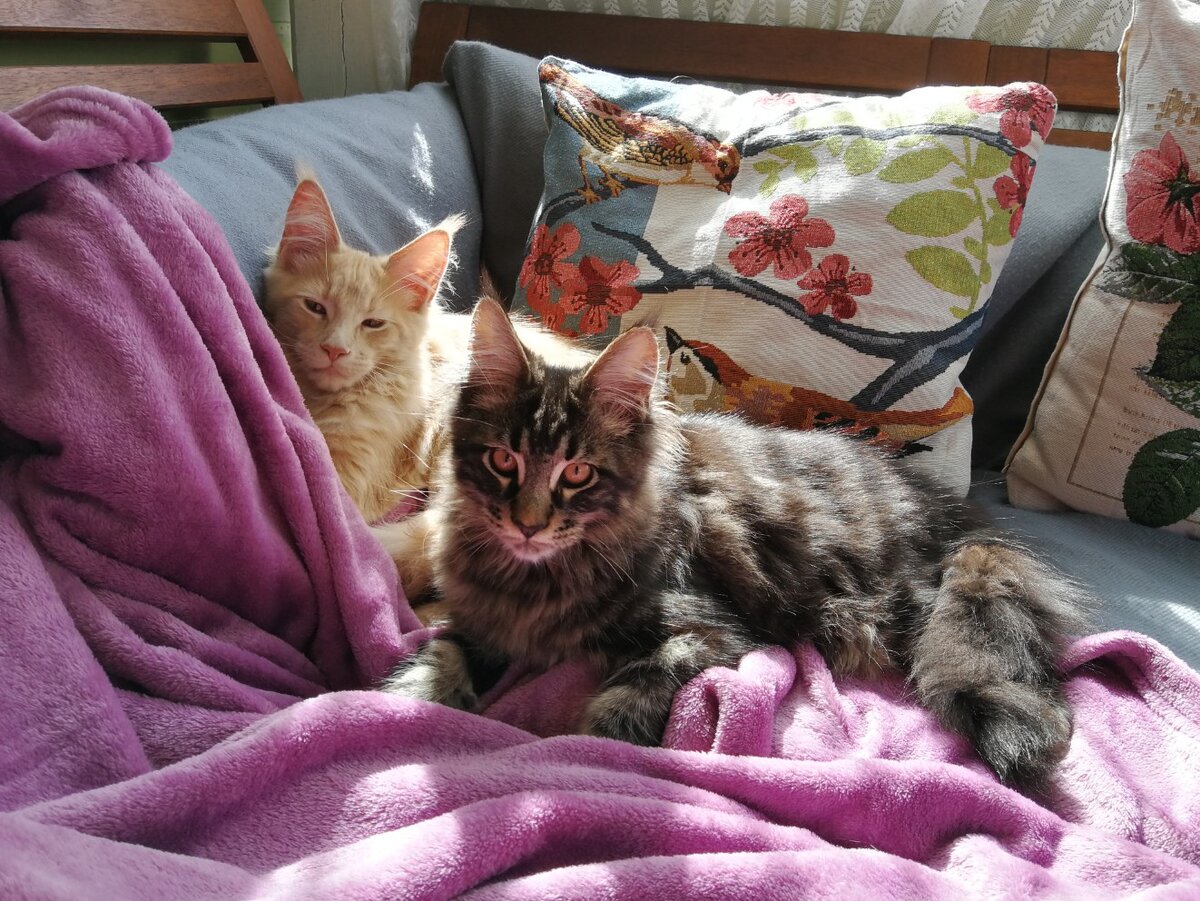 Фото из личного архива. 