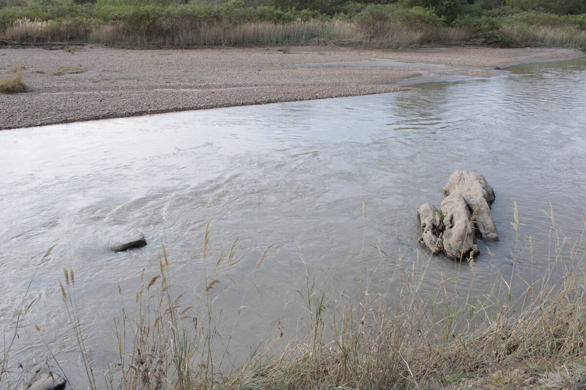 Интересное фото - протока Реки " Кубань" 