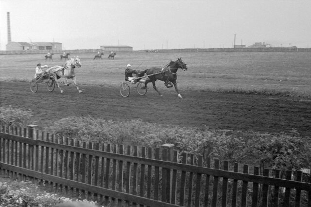    Большая часть участников бегов - обеспеченные люди. Фото: Из личного архивa/ Игорь Шишкин