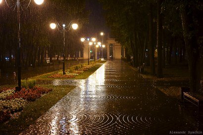 Фотография из Интернет-источников