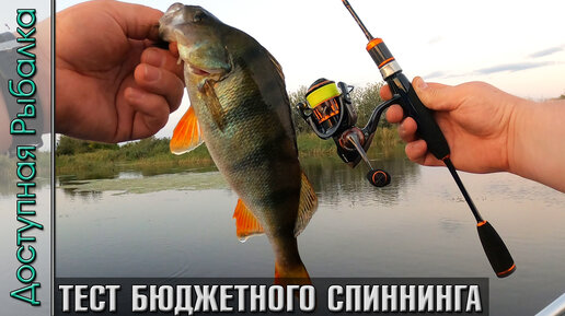 Бюджетный Универсальный Спиннинг Для Начинающих с АлиЭкспресс ...