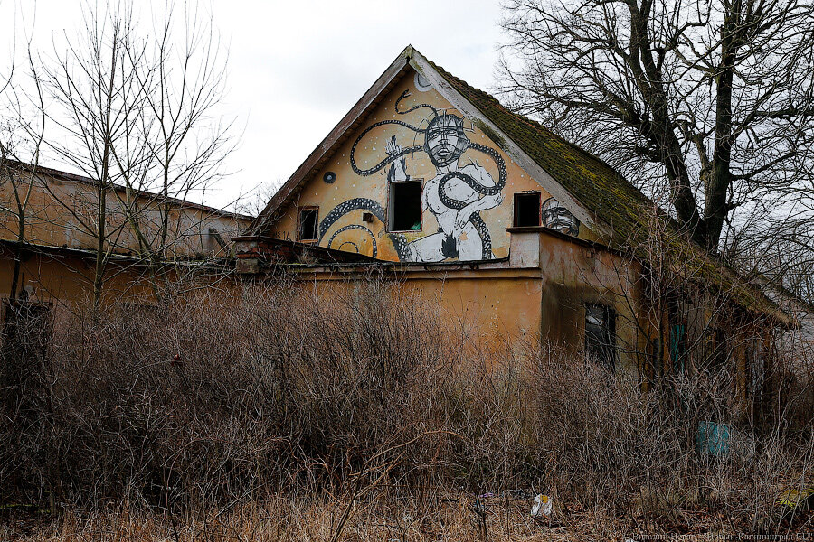 Фото: Витай Невар / Новый Калининград