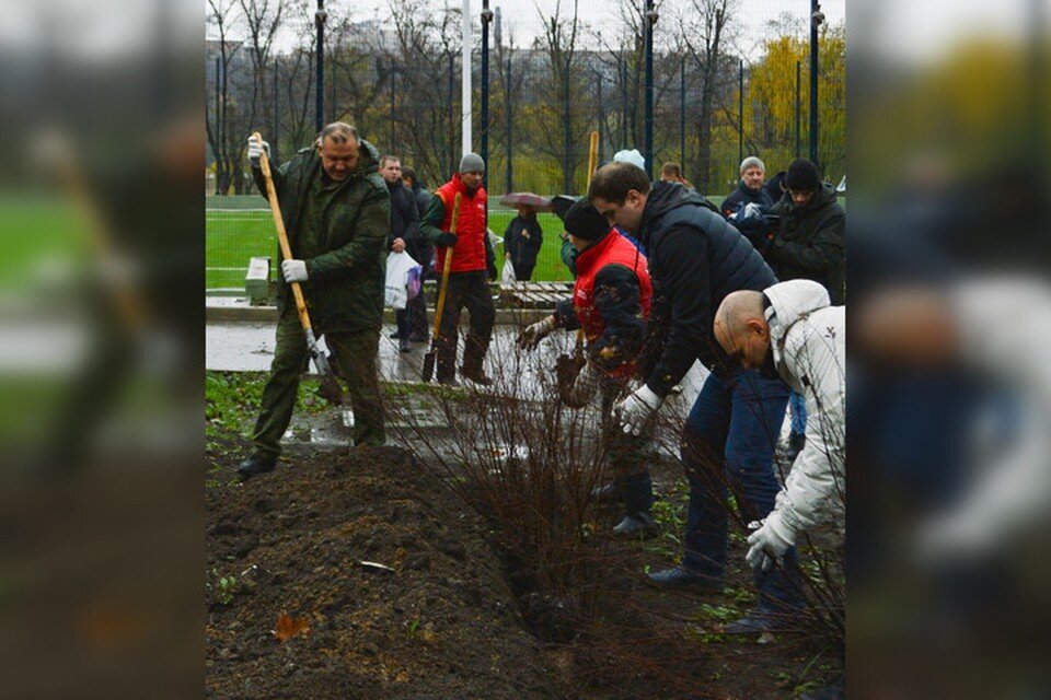     На набережной высадили 50 деревьев катальпы и 50 кустов Спиреи Вангутта. Фото: ТГ/Кулемзин