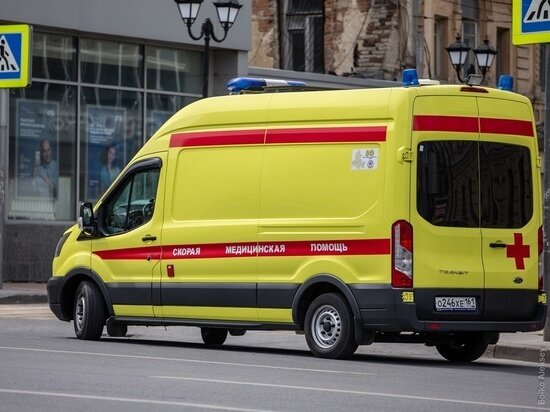     Фото: МК на Дону