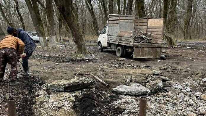     После сноса беседок в Мамайском лесу на месте посадят 150 саженцев, сообщили в городской мэрии.