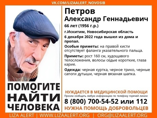     Фото: группа "Поисковый отряд ЛизаАлерт Новосибирской области" в ВК