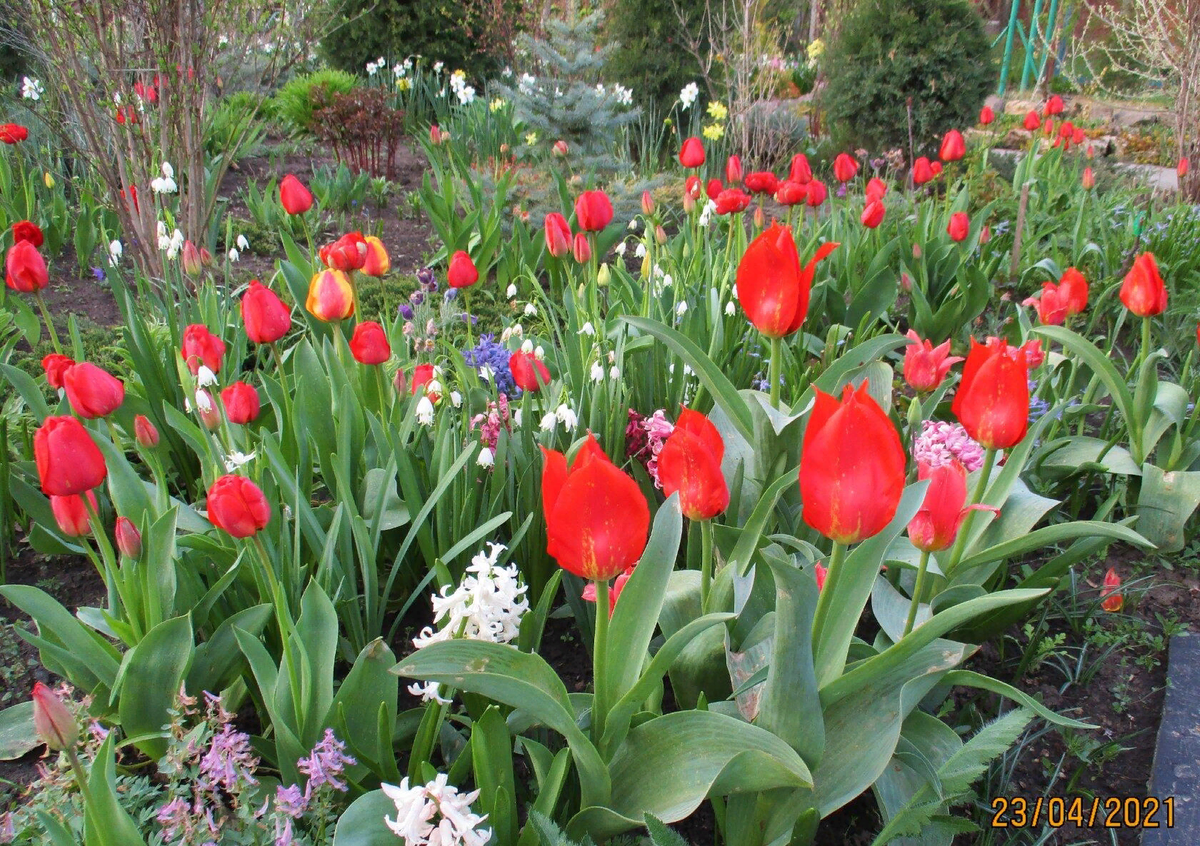 Добавьте описание