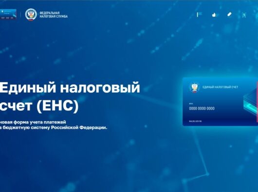    Как будет работать Единый налоговый счет // Скриншот с сайта Федеральной налоговой службы России
