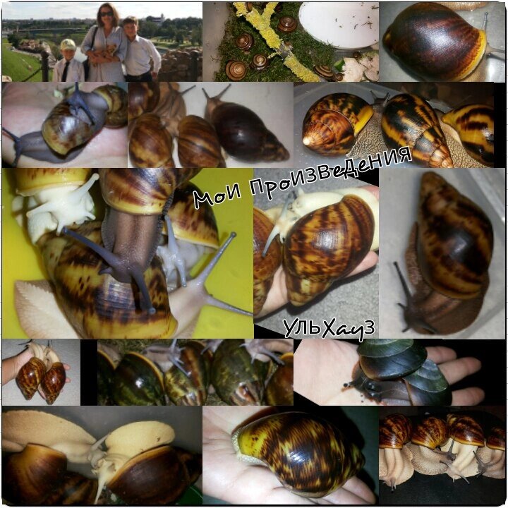 Честно скажу: пост и коллаж писались 6 лет назад