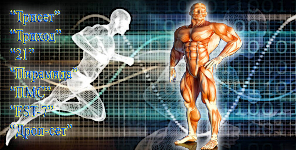 Источник: www.istockphoto.com