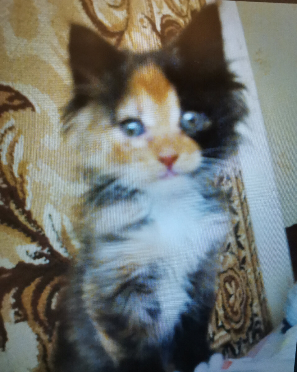 Качество фото не очень, фото 2013 года