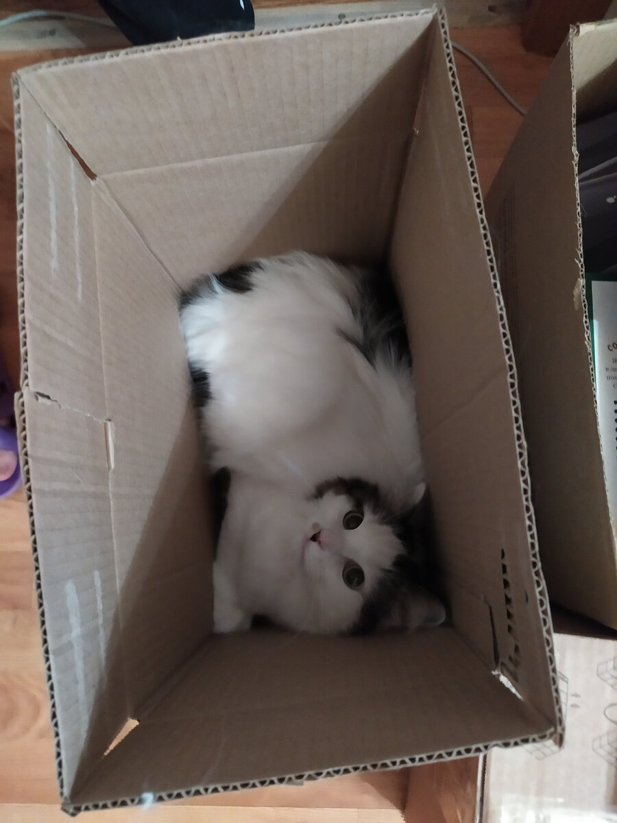 Вот такая маленькая квартира.