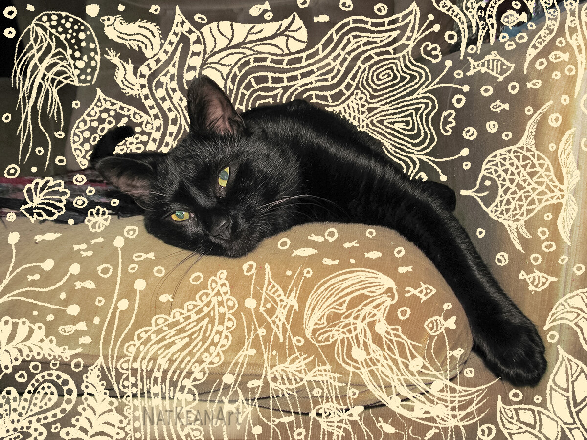 Черри. Фото NatKean