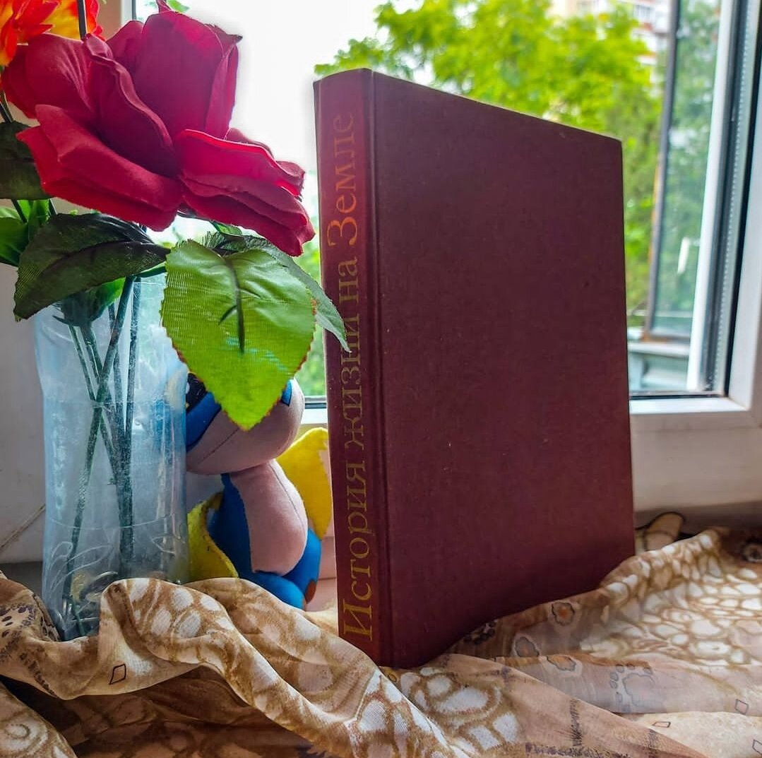 Художник Зденек Буриан 