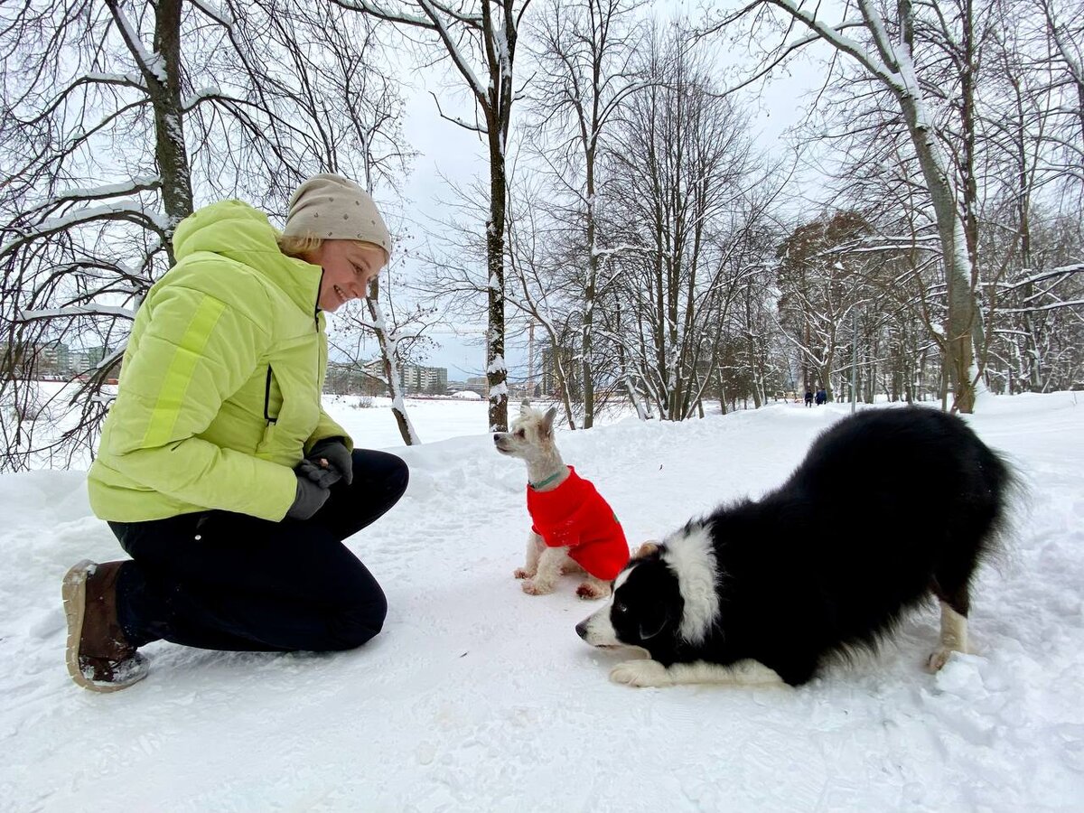 Всех людей мои собаки просто обожают, но посторонних собак Баста недолюбливает