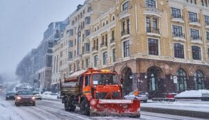    Фото: ru.freepik.com Роман Янышев