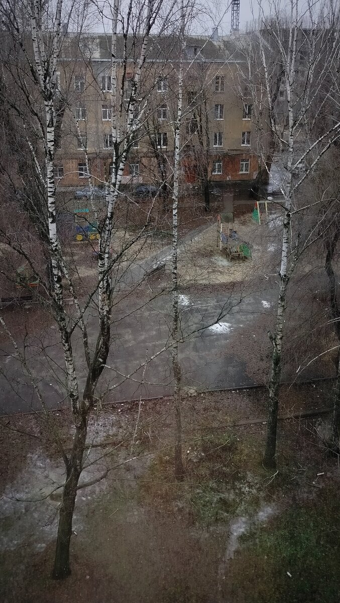 Недавно выпавший снег совсем растаял